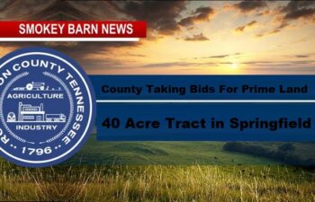 Top Commercial Land Goes Up For Bid In Robertson County
