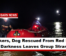Kayakers, Dog Rescued From Red River After Darkness Leaves Group Stranded