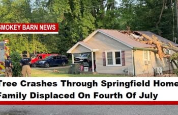 Tree Crashes Through Springfield Home, Family Displaced On Fourth Of July