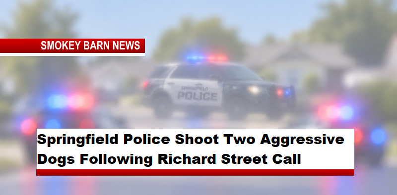 Springfield Police Shoot Two Aggressive Dogs Following Richard Street Call