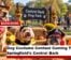 Dog Costume Contest Coming To Springfield’s Central Bark