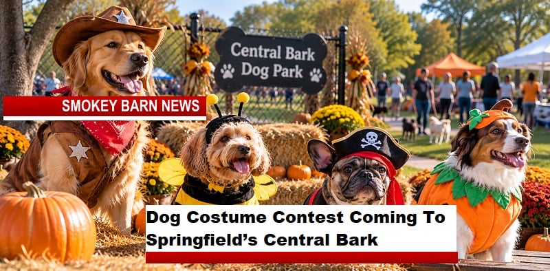 Dog Costume Contest Coming To Springfield’s Central Bark